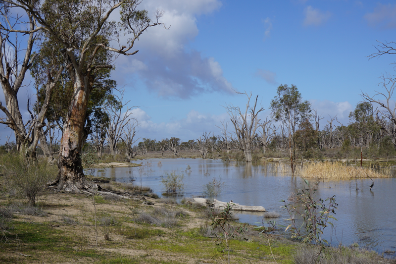 Illustration for article titled Roamin' the Riverland.